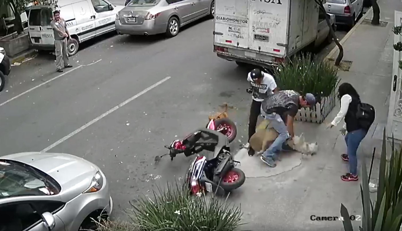 El impactante video de un joven que arriesga su vida para salvar a su perro atacado por un pitbull | Redes