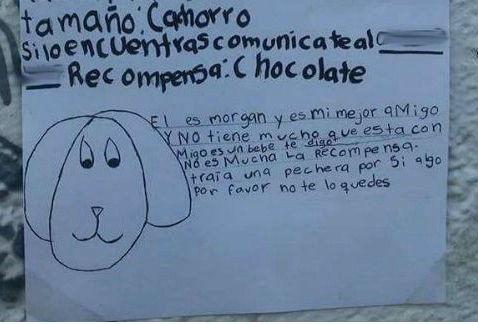 La nena que había perdido su perro y dibujó los carteles a mano para buscarlo | Redes