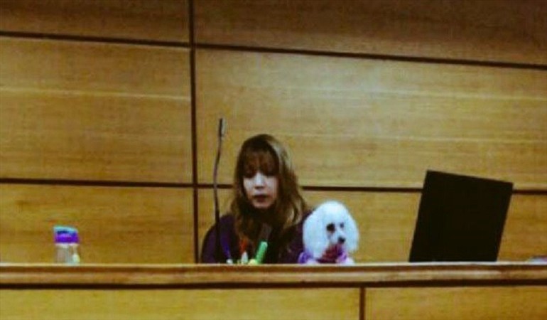 Una jueza de Chile dirigió una audiencia acompañada de su perro | Redes