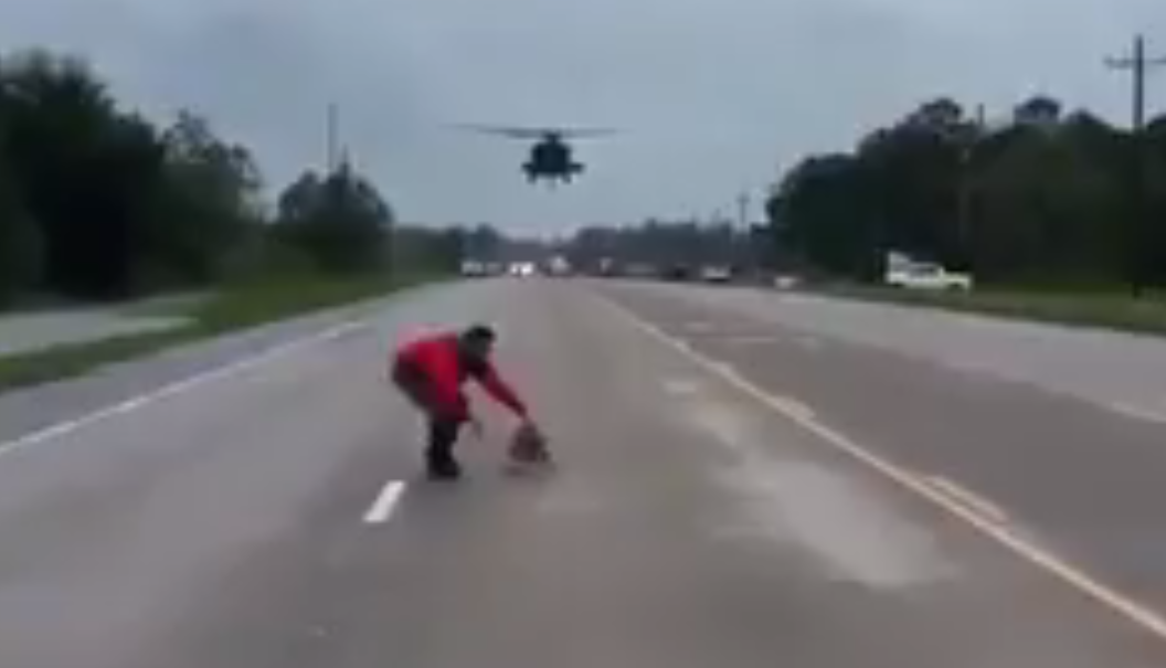 El hombre que desafió al huracán Irma para salvar a perros callejeros | Redes