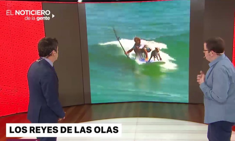 Los virales más locos del día | Redes