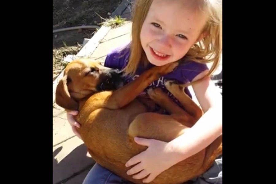 Viral tierno: la nena que acuna a su perro recién adoptado | Redes