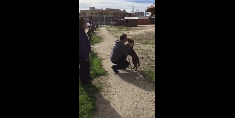 Video viral: el emotivo reencuentro de una perra con su dueño después de 3 años | Redes