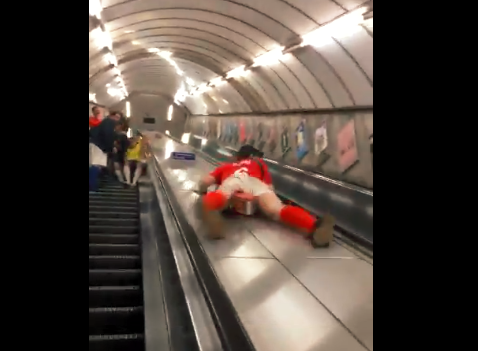 Viral conmovedor: una perra se pasa una noche entera junto al ataúd de su dueña fallecida | Redes