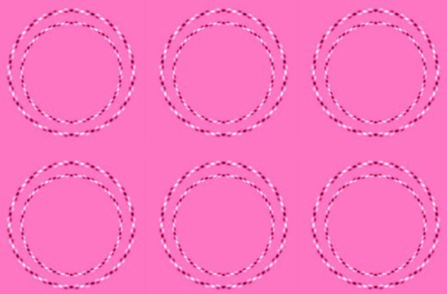 La sorprendente ilusión óptica de los círculos que causa furor en las redes | Redes