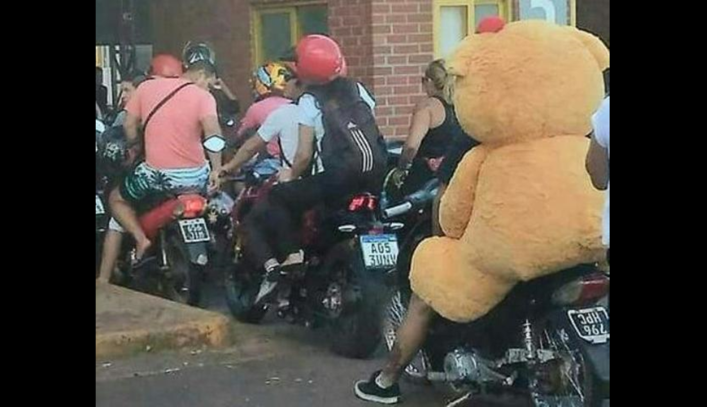 El oso de peluche que "cruzó" en moto en la frontera en Misiones y se volvió viral | Redes