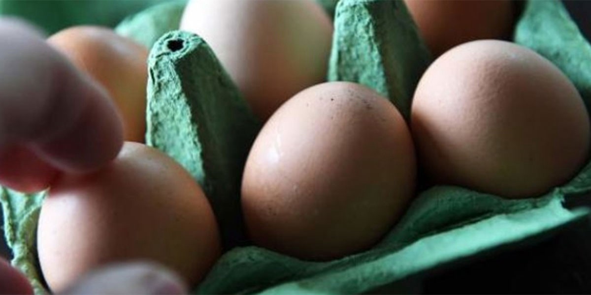 El misterioso caso de un huevo con sorpresa que revoluciona las redes | Redes