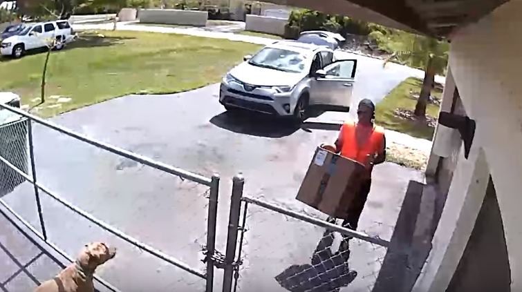 Video: despidieron a un repartidor de Amazon por tirar un paquete encima de un cachorro | Redes