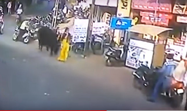 Video: un toro suelto en la calle revoleó a una mujer | Redes