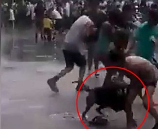 Video dramático: el ataque de un pitbull a una nena en México | Redes