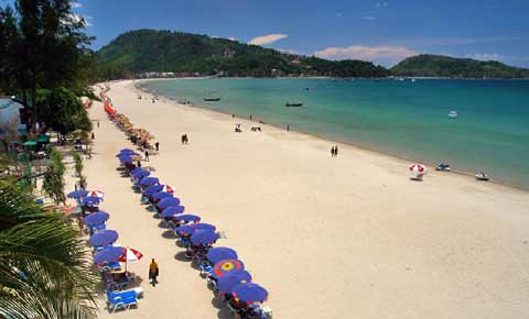 Aparecieron extrañas criaturas en las playas de Tailandia | Redes