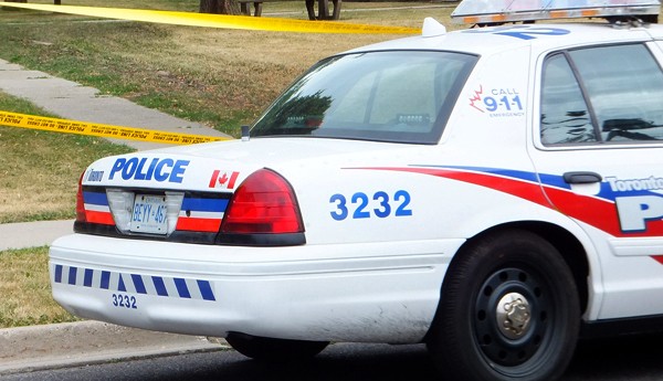 Viral: este perro fue "detenido" y su reacción conmovió a todos | Redes