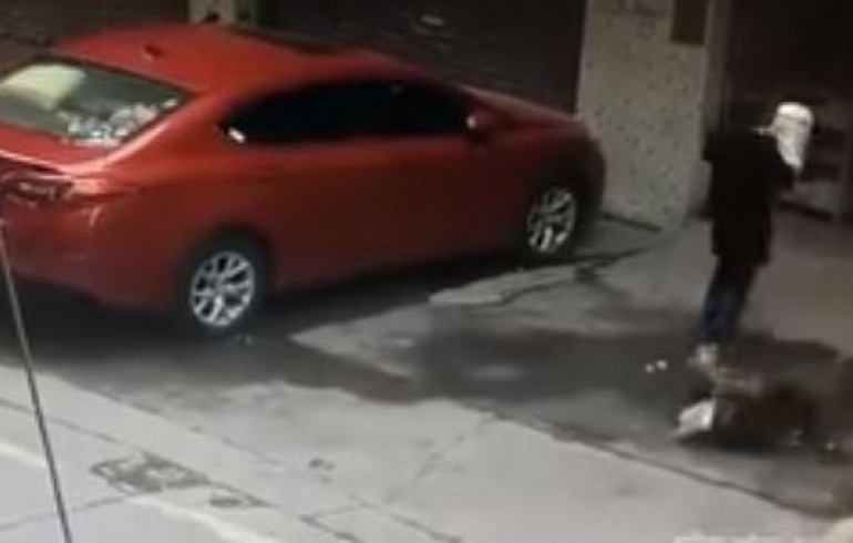 El perro que cayó del cielo y golpeó a una mujer en la cabeza | Redes