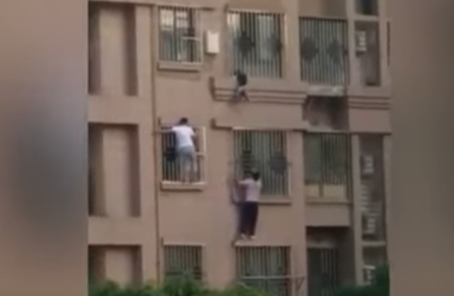Video: dos "hombres araña" treparon un edificio para salvar a un nene que estaba a punto de caer | Redes