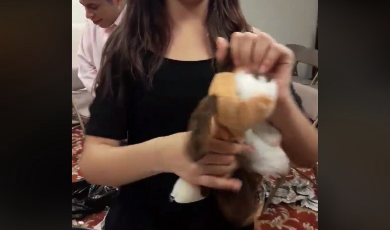 ¿Peluches del demonio?: destruyeron muñecos porque decían que "eran el diablo" | Redes