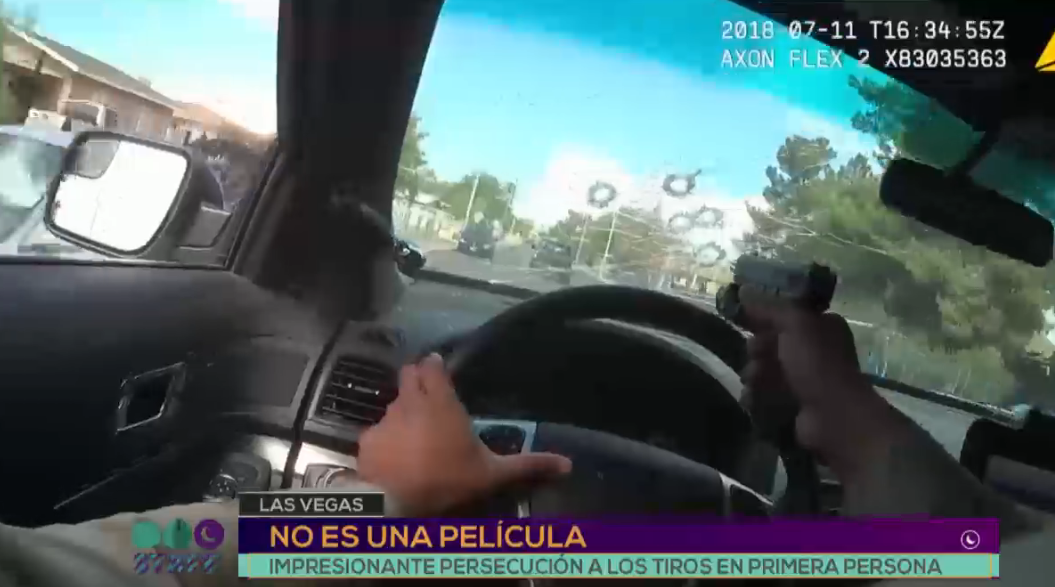 Un grupo de turistas pasó del susto a las selfies cuando una chita se metió en su auto | Redes