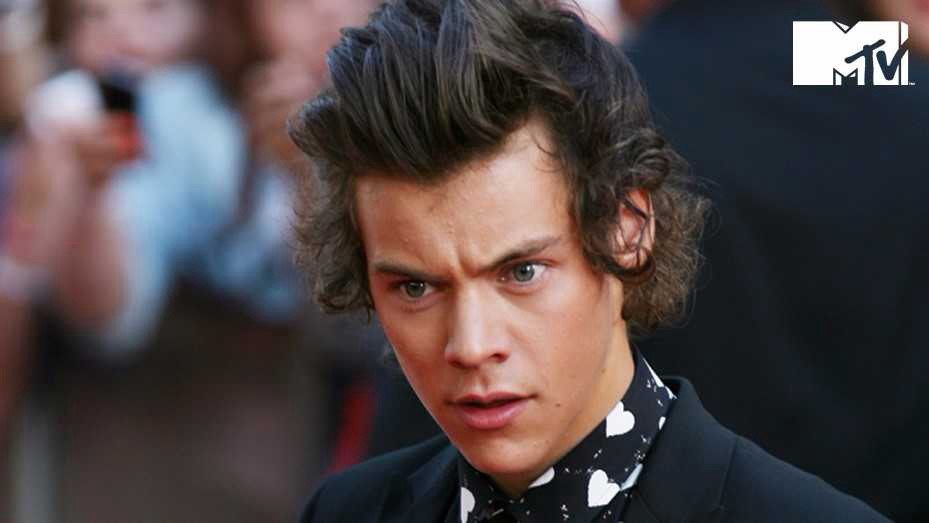 Harry Styles fue víctima de acoso sexual durante un show | MTV News
