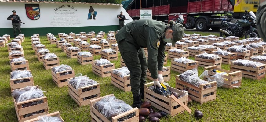 Salta: intentaban traficar más de 31 kilos de cocaína ocultos en cajones con berenjenas | Actualidad