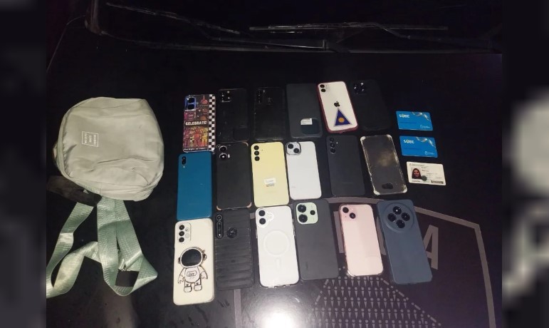 Detuvieron a una mujer acusada de robar 18 celulares en los carnavales porteños | Actualidad