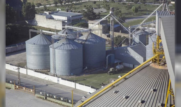 Cerealeras y aceiteros celebraron la reforma laboral y dijeron que creará empleo | Economía