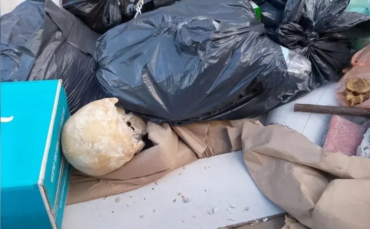 Un macabro hallazgo causó estupor en Playa Grande en pleno inicio de la temporada de Mar del Plata | Actualidad