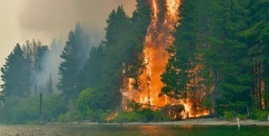 El Concejo Deliberante de Epuyén declaró el estado de catástrofe | Actualidad