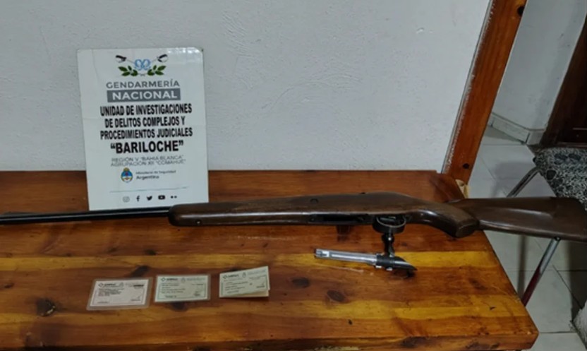 Faenaron un guanaco en el Parque Nacional Nahuel Huapi y deberán pagar $6 millones | Actualidad