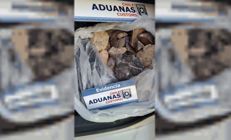 Llevaba 18 fósiles en el baúl: intentaron pasar los restos a Chile y los detuvo la Aduana | Actualidad