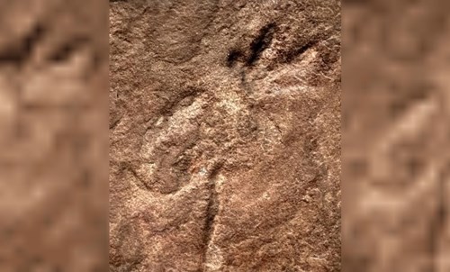 Hallazgo en China: descubren huellas de dinosaurios de hace 200 millones de años | Internacionales