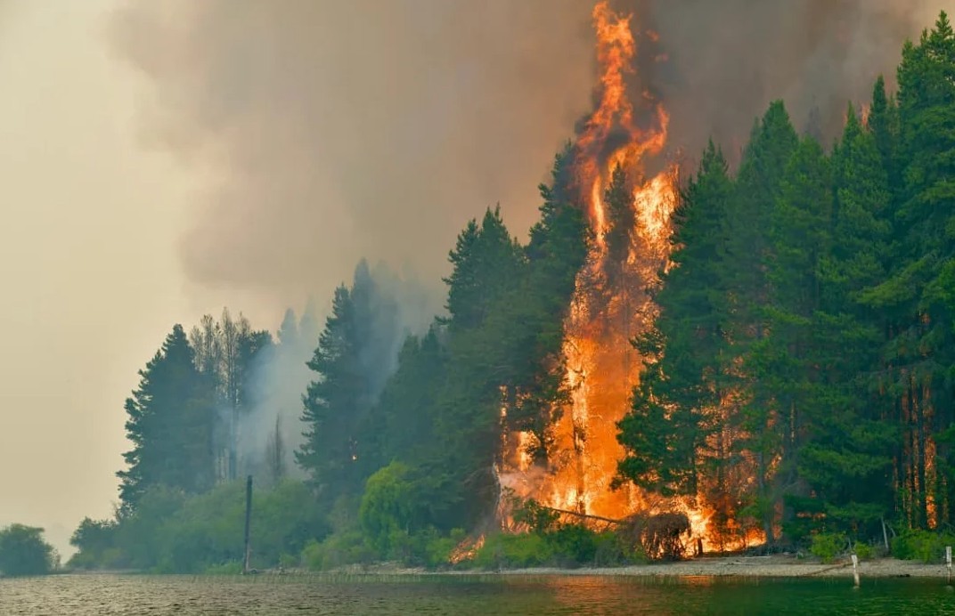 El Gobierno anunció que endurecerá penas contra quienes provoquen incendios | Actualidad