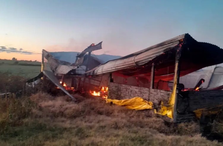 Murieron 500 cerdos en el incendio de un criadero en Entre Ríos | Actualidad