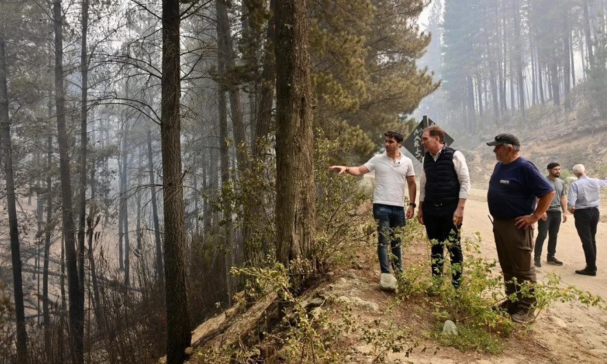 Incendios en Chubut: millonaria recompensa para dar con los responsables | Clima, naturaleza y medio ambiente