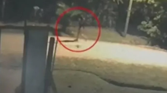 Femicidio en Ezeiza: salió a caminar y fue atacada a cuchillazos | Actualidad