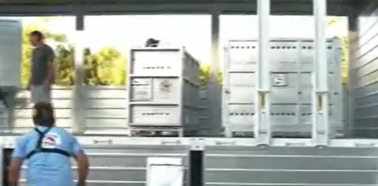 Trasladan a los animales que se encontraban en el ex zoo de Luján | Actualidad