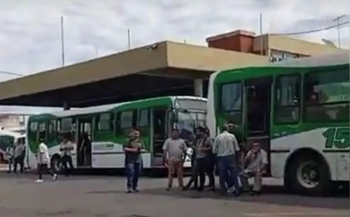 Paran 7 líneas de colectivos: miles de usuarios afectados | Actualidad