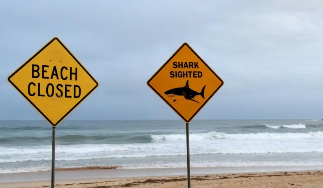 La tragedia que conmueve a Australia: murió un niño de 12 años que fue a la playa y fue mordido por un tiburón | Internacionales