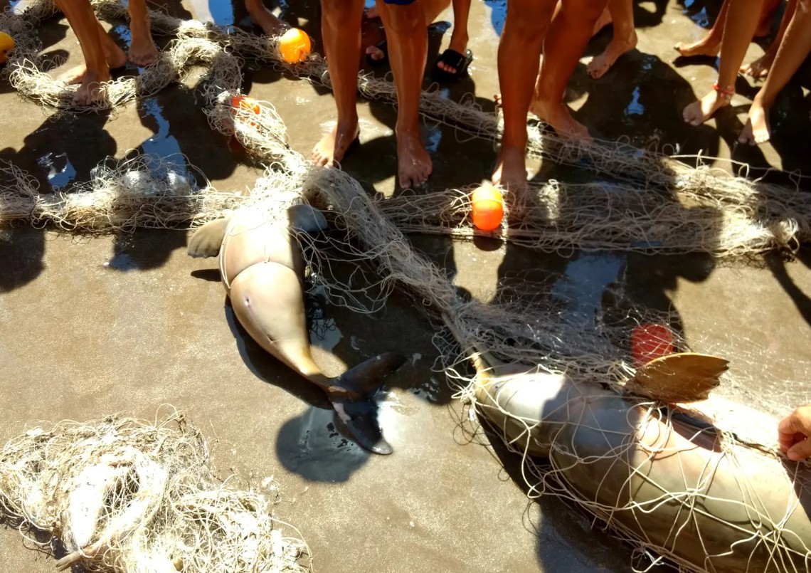 El 80% de los residuos encontrados en las playas bonaerenses son plásticos, según censo provincial | Clima, naturaleza y medio ambiente