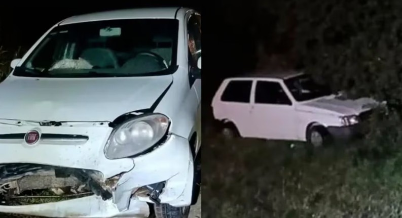 Tragedia en la Ruta 88: un hombre murió tras un choque provocado por un carpincho | Actualidad