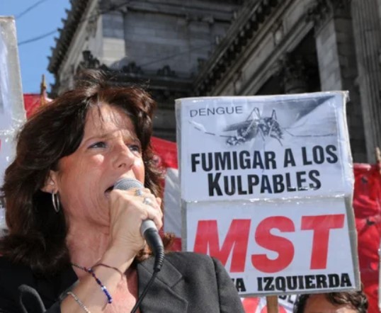 El incidente con Vilma Ripoll en el Congreso: se tiró sobre el auto de Milei | Política