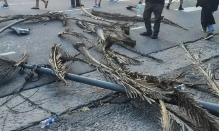 Mar del Plata: un poste cayó en plena marcha y dejó dos mujeres heridas | Actualidad