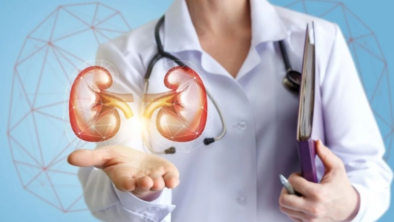 Uno de cada 8 argentinos tienen enfermedad renal crónica aunque no todos lo saben | Actualidad