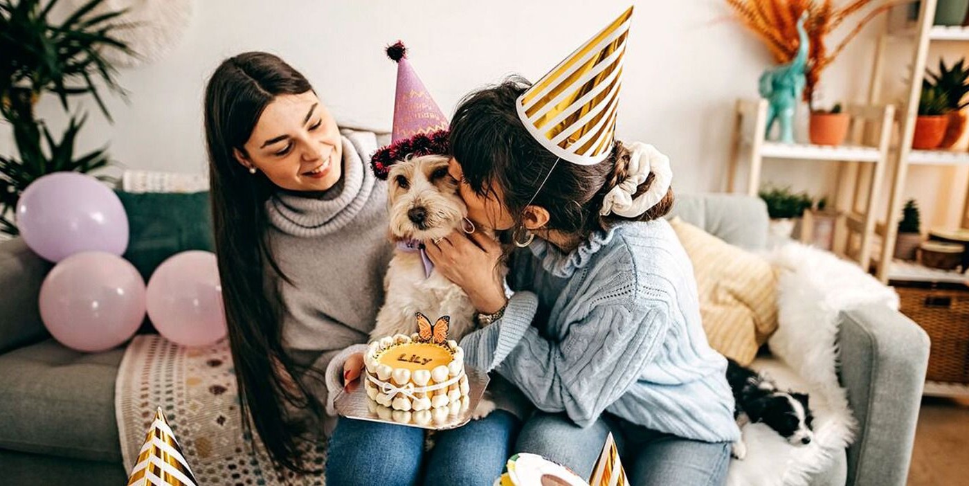 Cada vez más personas tratan a los animales de compañía como si fueran humanos | Actualidad