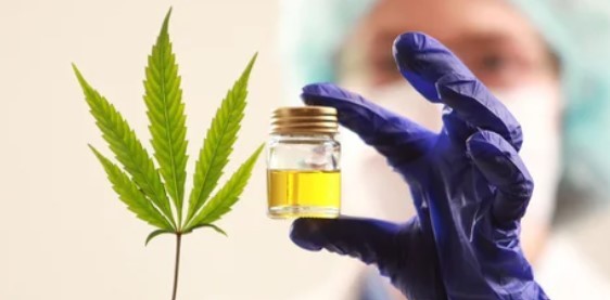 Investigadores chinos desarrollan una molécula a partir de cannabis medicinal | Internacionales