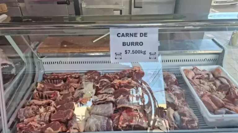 Polémica por la venta de carne de burro en Argentina: ¿es legal? | Actualidad
