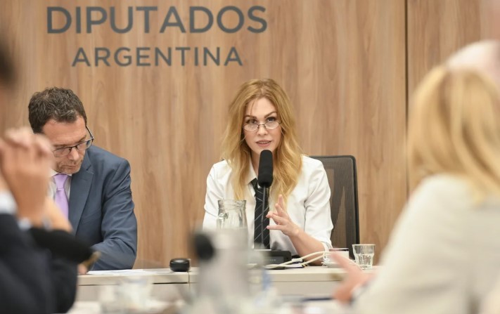 Lilia Lemoine asumió en la comisión de Juicio Político y tildó a la oposición dura de “destituyente” | Política