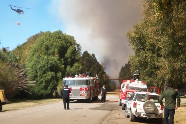 Detuvieron a cuatro menores de edad que intentaban incendiar un pinar en Esquel | Actualidad