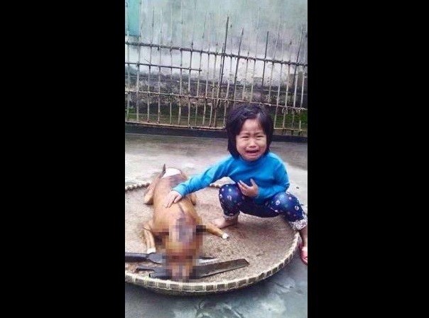 Desgarrador: niña vietnamita descubre a su perro, asado en un puesto de comida | Internacionales