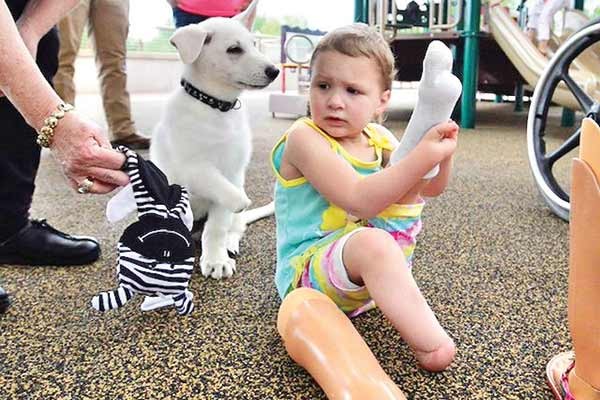 Una nena amputada adoptó a un cachorro sin una pata | Curiosidades