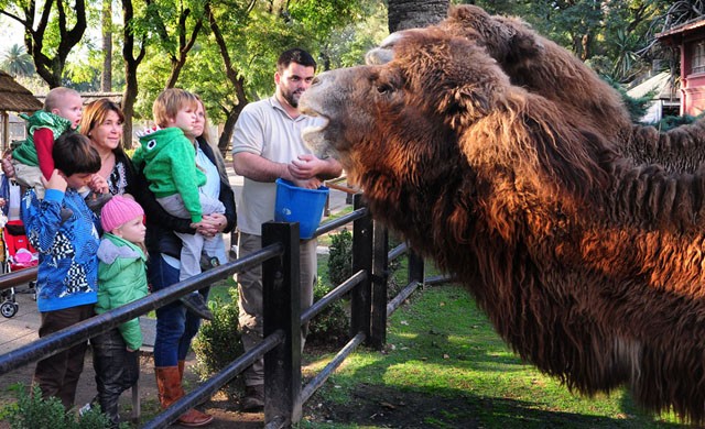 Estas son las fechas de las vacaciones de invierno en la ciudad y el país | Actualidad