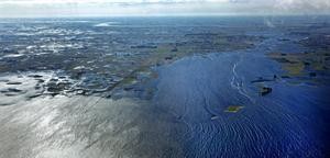 Unas 160.000 hectáreas de campos bajo el agua por la crecida del Salado | Actualidad